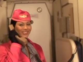 Groovy air hostess sucking pilots big prick